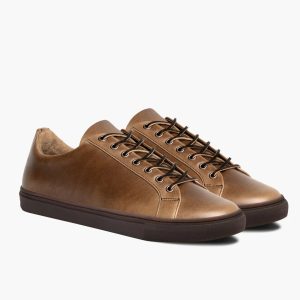Premier Low Top