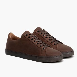 Premier Low Top