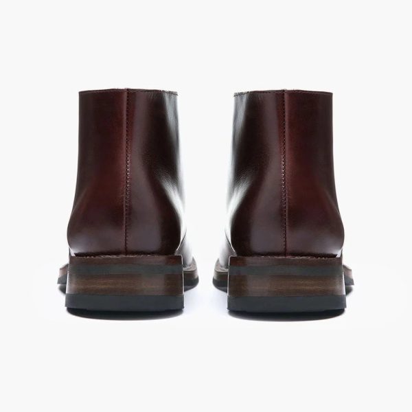 Scout - Image 3