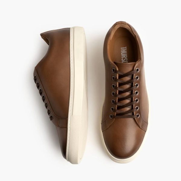 Women's Premier Low Top - Image 5