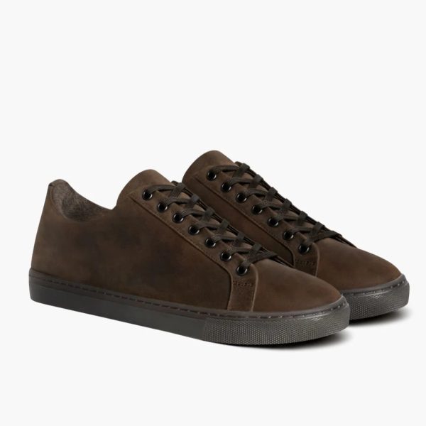 Premier Low Top