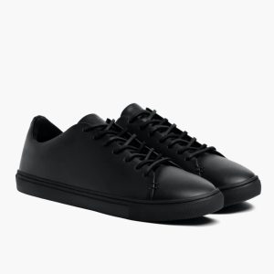 Premier Low Top