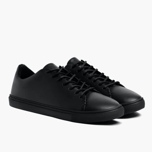 Premier Low Top