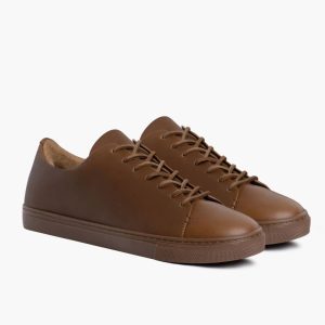 Premier Low Top