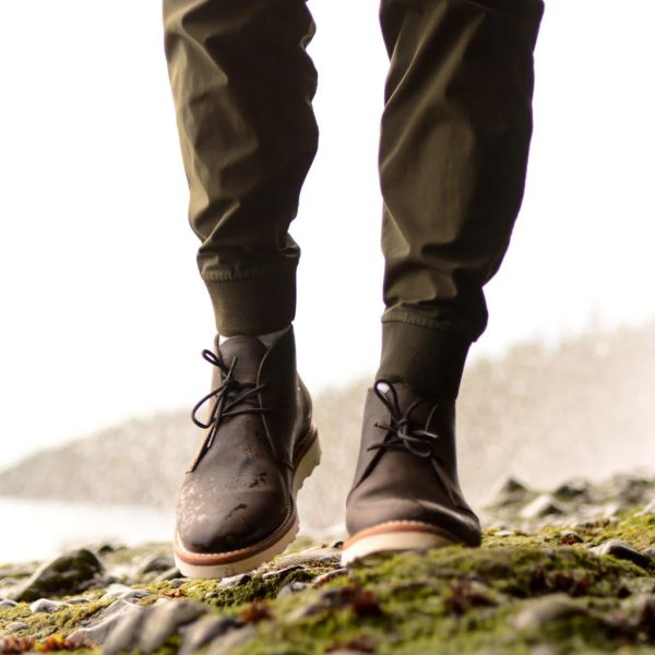 Scout - Image 7