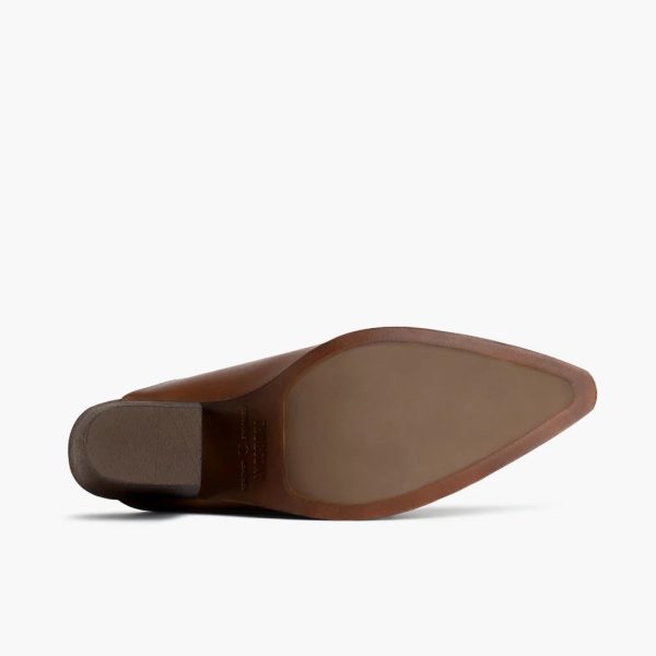 Summer - Image 4