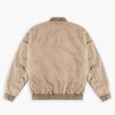 Alpha M Bomber