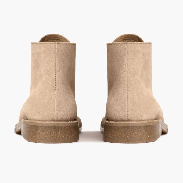 Scout - Image 4