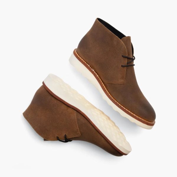 Scout - Image 4