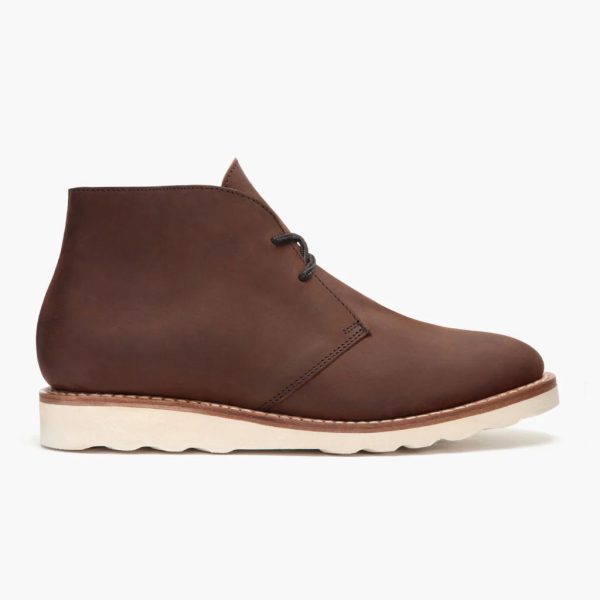Scout - Image 2