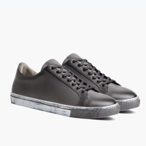 Premier Low Top