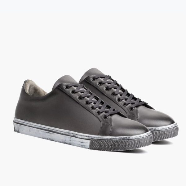 Premier Low Top