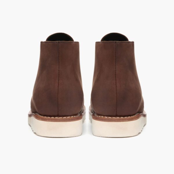 Scout - Image 4