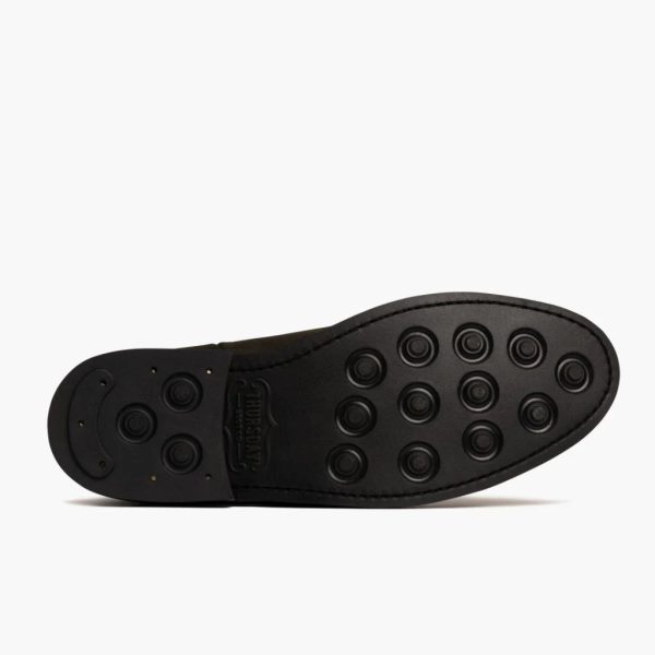 Duke - Image 4