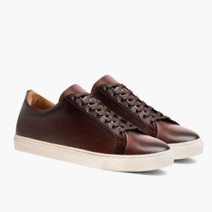 Premier Low Top