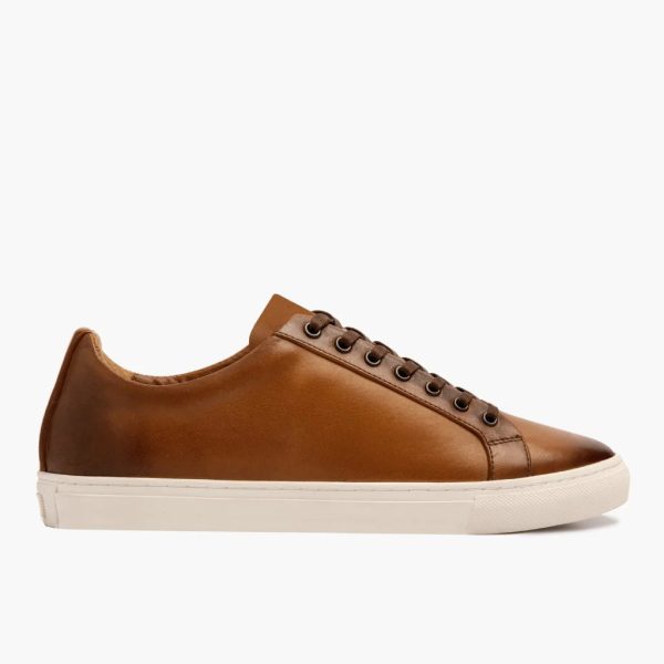 Premier Low Top - Image 2