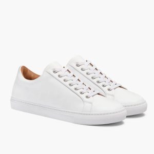 Premier Low Top