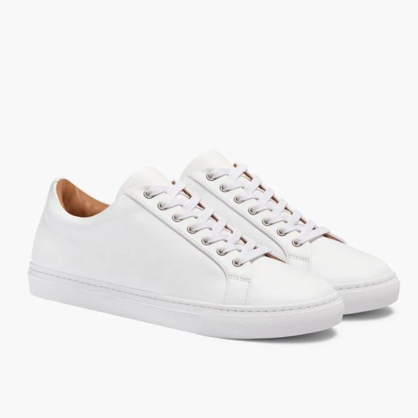 Premier Low Top