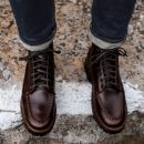 [W] Diplomat