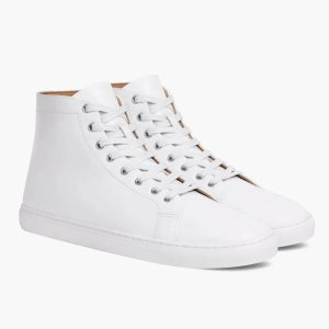 Premier High Top