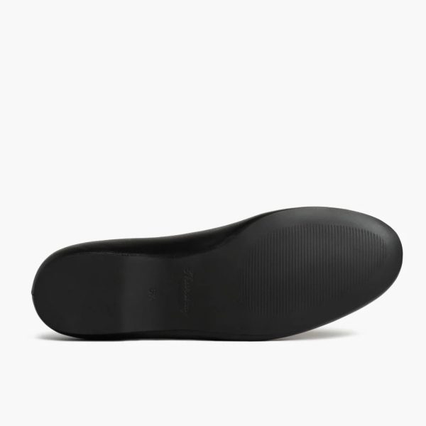 Scrunch - Image 5
