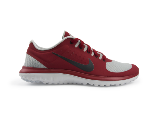 Nike Men's FS Lite Run Running Shoes Pure Platinum/Black/Gym Red