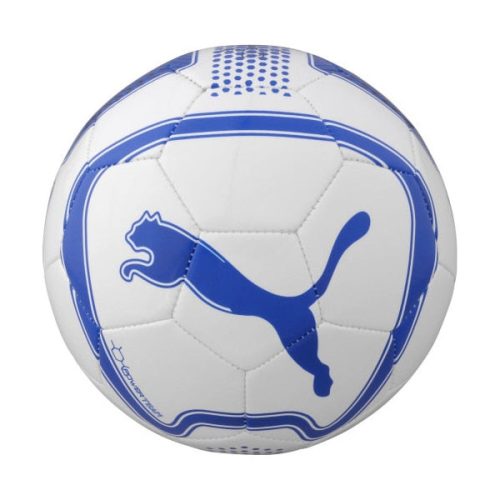 PUMA Power Team Ball White/Blue