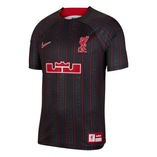 Nike Kids Liverpool X Lebron James 2023/24 Jersey Anthracite/Gym Red